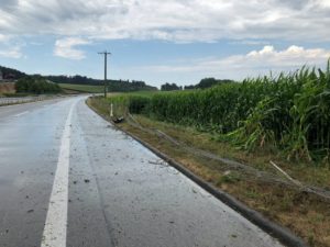 A6 Schüpfen BE - Auto landet nach Unfall im Maisfeld