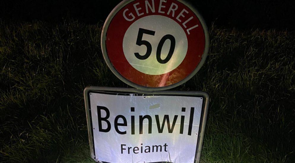 Crash mit Dorfschild in Beinwil AG
