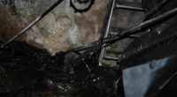Seengen AG: Hanf-Indooranlage bei Brand entdeckt