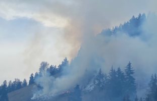 Waldbrand in Crésuz FR