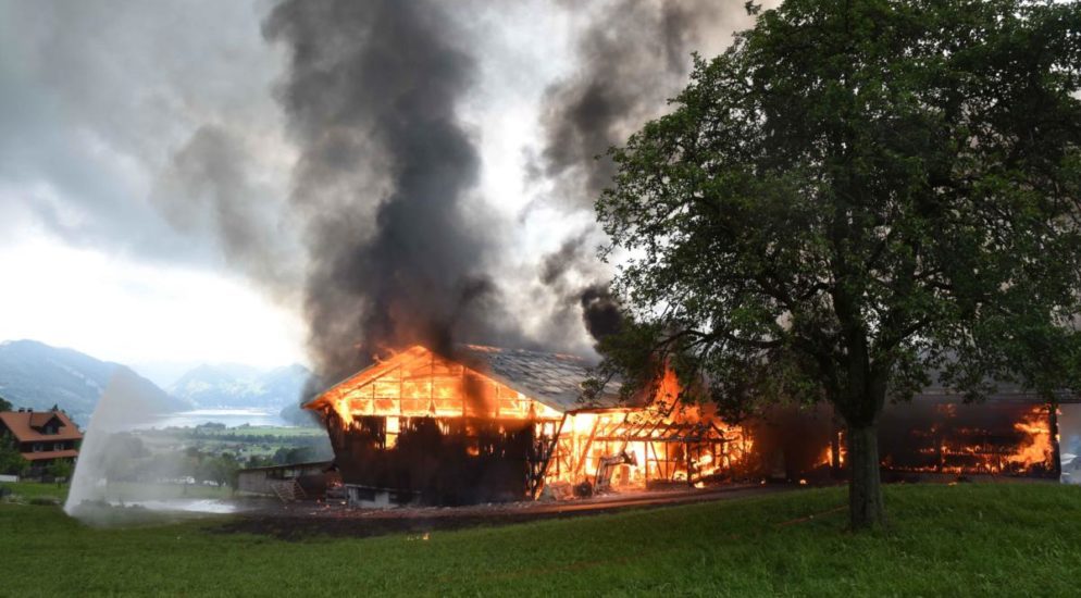 Brand Alpnach Dorf OW: Kälber fallen Feuer zum Opfer