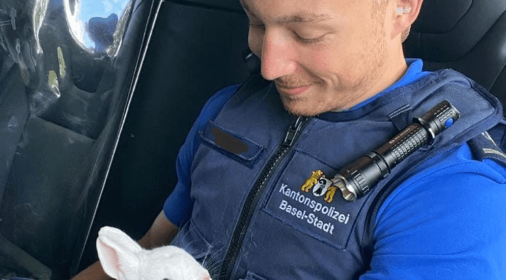Basel-Stadt - Polizei muss ausgesetztes Kaninchen retten