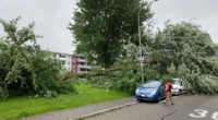 Baum stürzt auf 5 parkierte Autos und Spielplatz in Zug