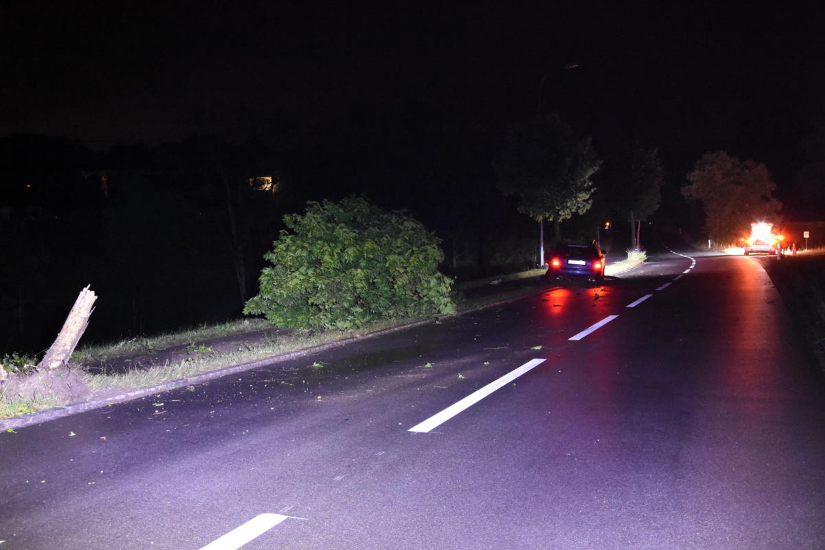 Zuckenriet SG - Betrunkener Junglenker crasht in einen Baum - Vimarsana News