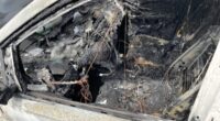 Winterthur ZH: Zwei Fahrzeuge komplett ausgebrannt