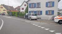 Scherzingen TG - Lenker (70) kollidiert mit Zaun und Haus
